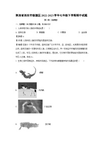 陕西省西安市临潼区2022-2023学年七年级下学期期中生物试卷（解析版）