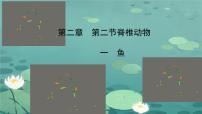 人教版（2024）七年级上册（2024）一 鱼课堂教学ppt课件
