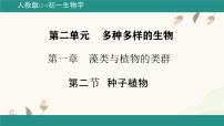 初中生物人教版（2024）七年级上册（2024）第二节 种子植物多媒体教学课件ppt