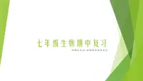 人教版生物七年级上册期中复习课件