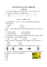 天津市红桥区2024-2025学年七年级上学期期中 生物试卷