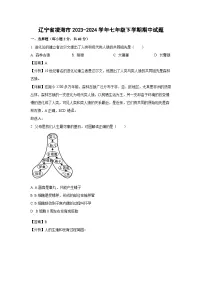 辽宁省凌海市2023-2024学年七年级下学期期中生物试卷（解析版）
