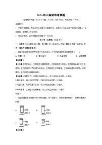 2024年云南省中考真题生物试卷(解析版)