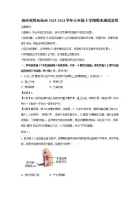 贵州省黔东南州2023-2024学年七年级下学期期末测试生物试卷(解析版)