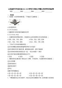 山东省济宁市金乡县2024-2025学年八年级上学期10月月考生物试卷(含答案)