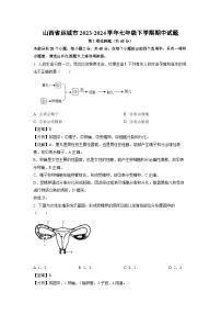 山西省运城市2023-2024学年七年级下学期期中生物试卷(解析版)