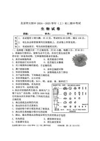 北京师范大学附属中学2024-2025学年八年级上学期期中考试生物试卷