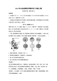 2024年山东省潍坊市青州市八年级二模生物试卷(解析版)