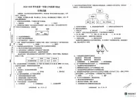 江苏省淮安市涟水县2024-2025学年七年级上学期11月期中生物试题