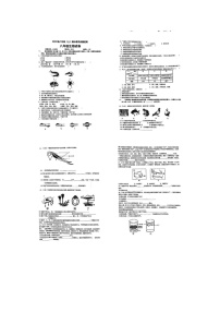 辽宁省丹东市第十三中学2024-2025学年八年级上学期11月期中生物试题