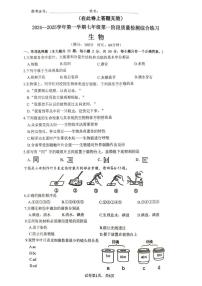 福建省厦门市同安区2024-2025学年七年级上学期11月期中生物试题