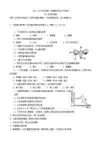 山东省淄博市张店区2024-2025学年七年级上学期11月期中生物试题(001)