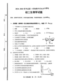 山东省淄博市张店区2024--2025学年七年级上学期期中考试生物试卷