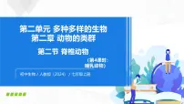 人教版（2024）七年级上册（2024）三 鸟和哺乳动物教学ppt课件