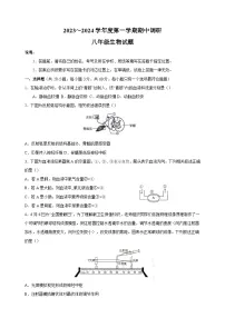 江苏省徐州市邳州市2023-2024学年八年级上学期期中生物试卷（含答案）