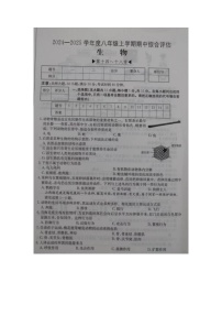 山西省运城市盐湖二中、运城市盐湖三中2024-2025学年八年级上学期11月期中生物试题