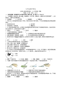 湖南省长沙市明德教育集团2024-2025学年七年级上学期期中考试生物试题