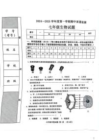 河北省秦皇岛市昌黎县2024-2025学年七年级上学期11月期中生物试题