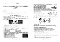 山西省朔州市怀仁市2024-2025学年八年级上学期期中测试生物试卷