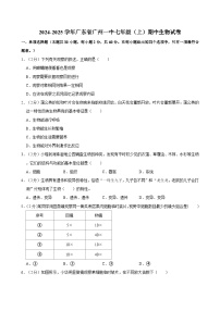 广东省广州市第一中学2024-2025学年七年级上学期期中考试生物试题