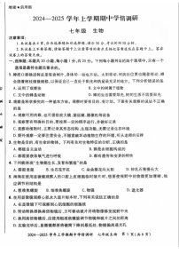 河南省郑州市登封嵩阳中学2024-2025学年七年级上学期期中考试生物试卷