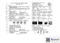 黑龙江省哈尔滨市巴彦县华山乡中学2024-2025学年七年级上学期11月期中生物试题