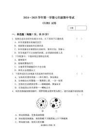 河南省新乡市名校2024-2025学年七年级上学期11月期中生物试题