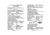 山东省菏泽市鄄城县2024－2025学年 九年级上学期生物期中考试试题