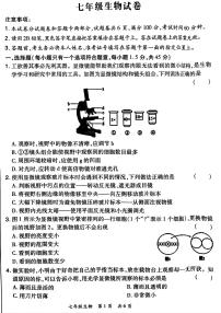 河南省洛阳市老城区2024-2025学年七年级上学期11月期中生物试题