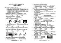 广东省揭阳市普宁市2024-2025学年八年级上学期期中考试生物试题