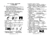 广东省揭阳市普宁市2024-2025学年八年级上学期期中考试生物试题