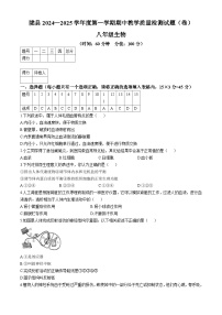 陕西省宝鸡市陇县2024-2025学年八年级上学期期中生物学试题