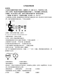 河南省洛阳市老城区2024-2025学年七年级上学期期中生物试题