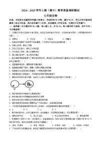 河南省鹤壁市2024-2025学年七年级上学期期中生物试题