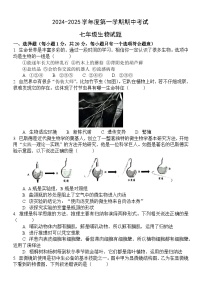 山东省菏泽市单县2024-2025学年七年级上学期11月期中生物试题