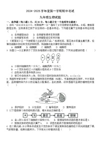 山东省菏泽市单县2024-2025学年九年级上学期11月期中生物试题