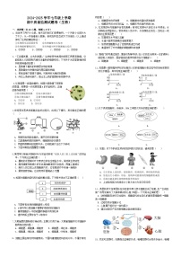 四川省自贡市第三十四中学校2024-2025学年七年级上学期11月期中生物试题