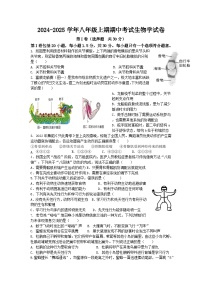 四川省自贡市第三十四中学校2024-2025学年八年级上学期11月期中生物试题