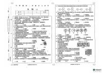 山东省德州市宁津县第四实验中学多校2024-2025学年七年级上学期11月期中生物试题