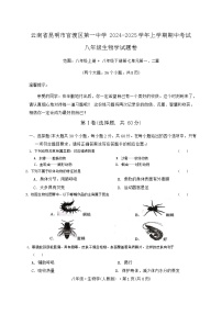 云南省曲靖市宣威市第一中学2024-2025学年八年级上学期11月期中生物试题