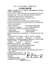 山东省滕州市2024-2025学年七年级上学期期中考试生物试题