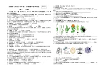 甘肃省张掖市临泽县第二中学2024-2025学年八年级上学期期中考试生物试卷