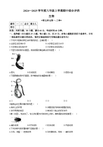 河北省邢台英华教育集团2024-2025学年八年级上学期期中生物试题