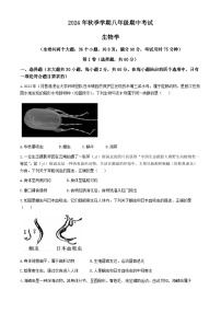 云南省昭通市威信县2024-2025学年八年级上学期期中生物学试题