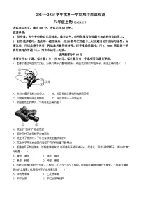 山东省济南市槐荫区2024-2025学年八年级上学期期中生物试题(无答案)