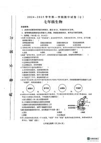 河南省周口市郸城县2024-2025学年七年级上学期11月期中生物试题