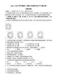 河北省唐山市古冶区2024—2025学年七年级上学期生物期中试题