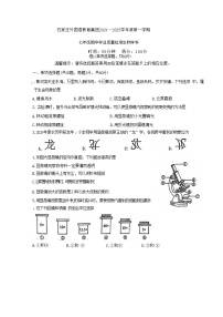 河北省石家庄外国语教育集团2024-2025学年七年级上学期期中测试生物试题