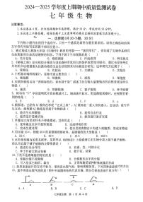 河南省信阳市罗山县2024-2025学年七年级上学期11月期中生物试题