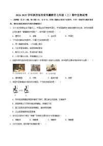 2024-2025学年陕西省西安市灞桥区七年级（上）期中生物试卷  含详解